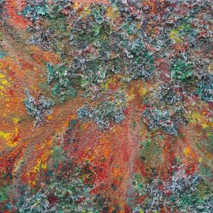 "The Earth IX" - Mixed Media, Oil on Canvas, 100x150 cm. 2017