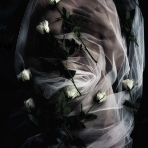 "White Roses" - Photography, print on Aluminum Dibond, 2/5, 80x120 cm, 2016