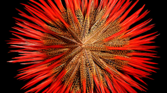 1-Colours-of-Nature-Anoukart-3