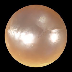 4-Precious-Pearl-Anoukart-2