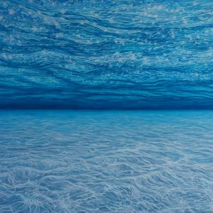 "Sunny Day Blues" - Oil on canvas, 40x60 inches, 2022 - 7.500 $